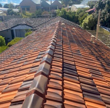Roof Cleaning