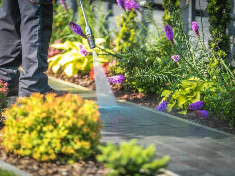 Pressure Washing Garden Path Closeup Photo. Cleaning Backyard Garden Cobble Pathway.